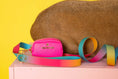 Load image into Gallery viewer, Cleo Waste Bag Holder & Treat Pouch
