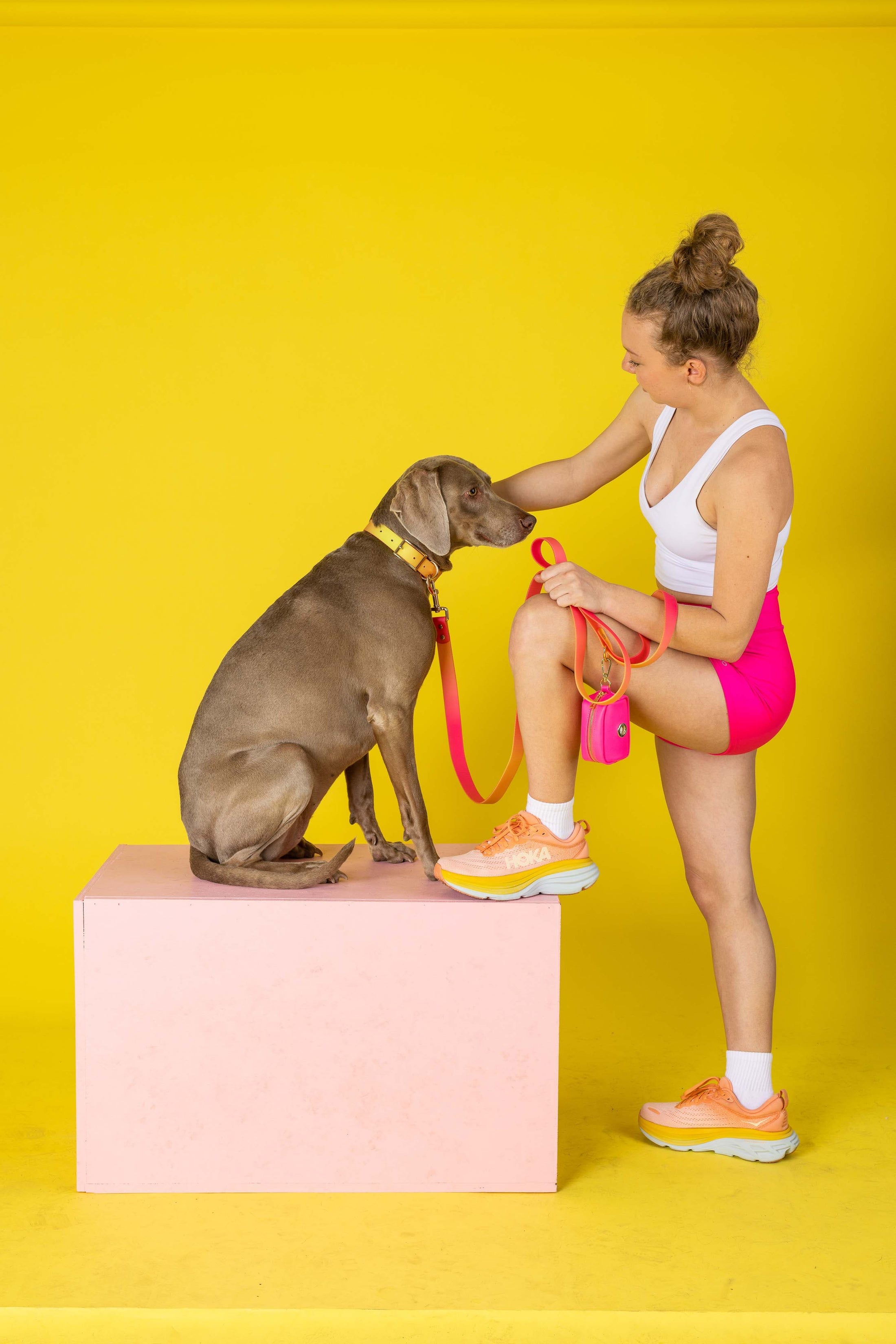 Katelin Dog Collar