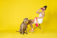 Load image into Gallery viewer, Katelin All Weather Dog Leash
