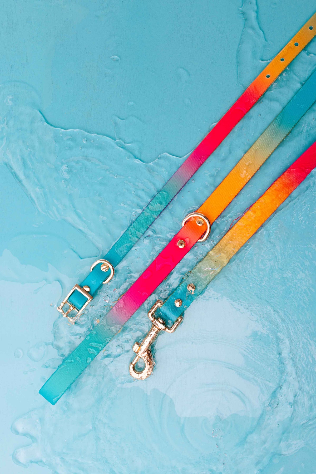 Pippa Dog Collar