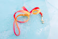 Load image into Gallery viewer, Katelin All Weather Dog Leash
