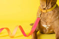 Load image into Gallery viewer, Katelin All Weather Dog Leash

