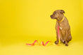 Load image into Gallery viewer, Katelin Dog Collar
