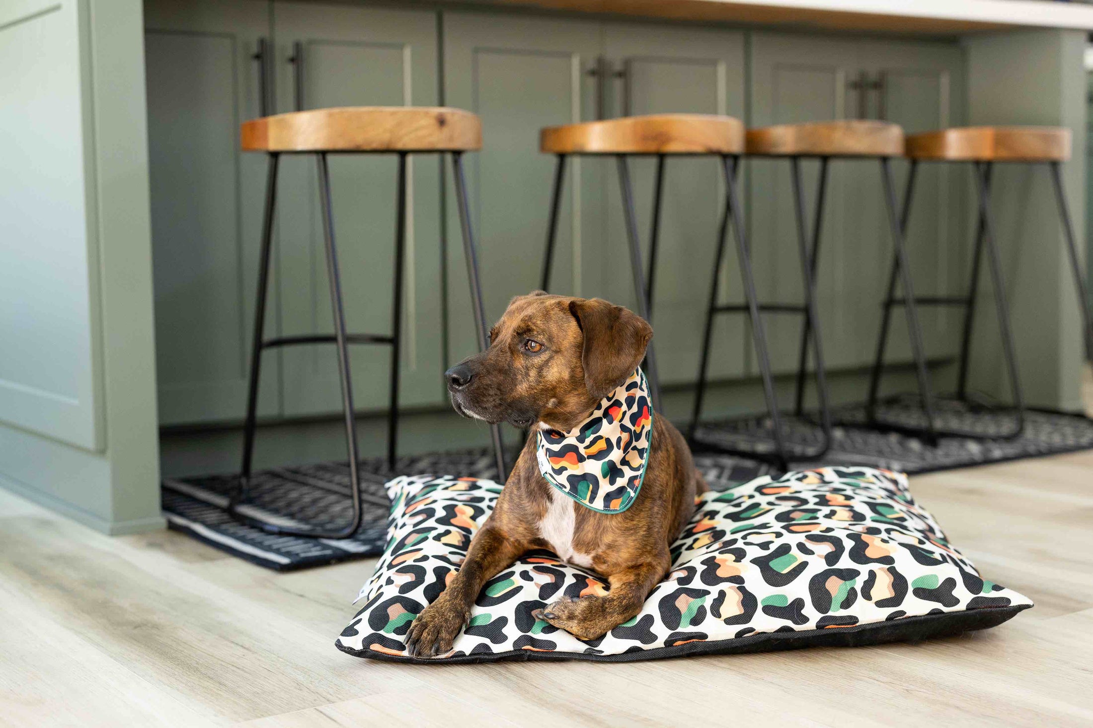 Beckett Dog Bandana