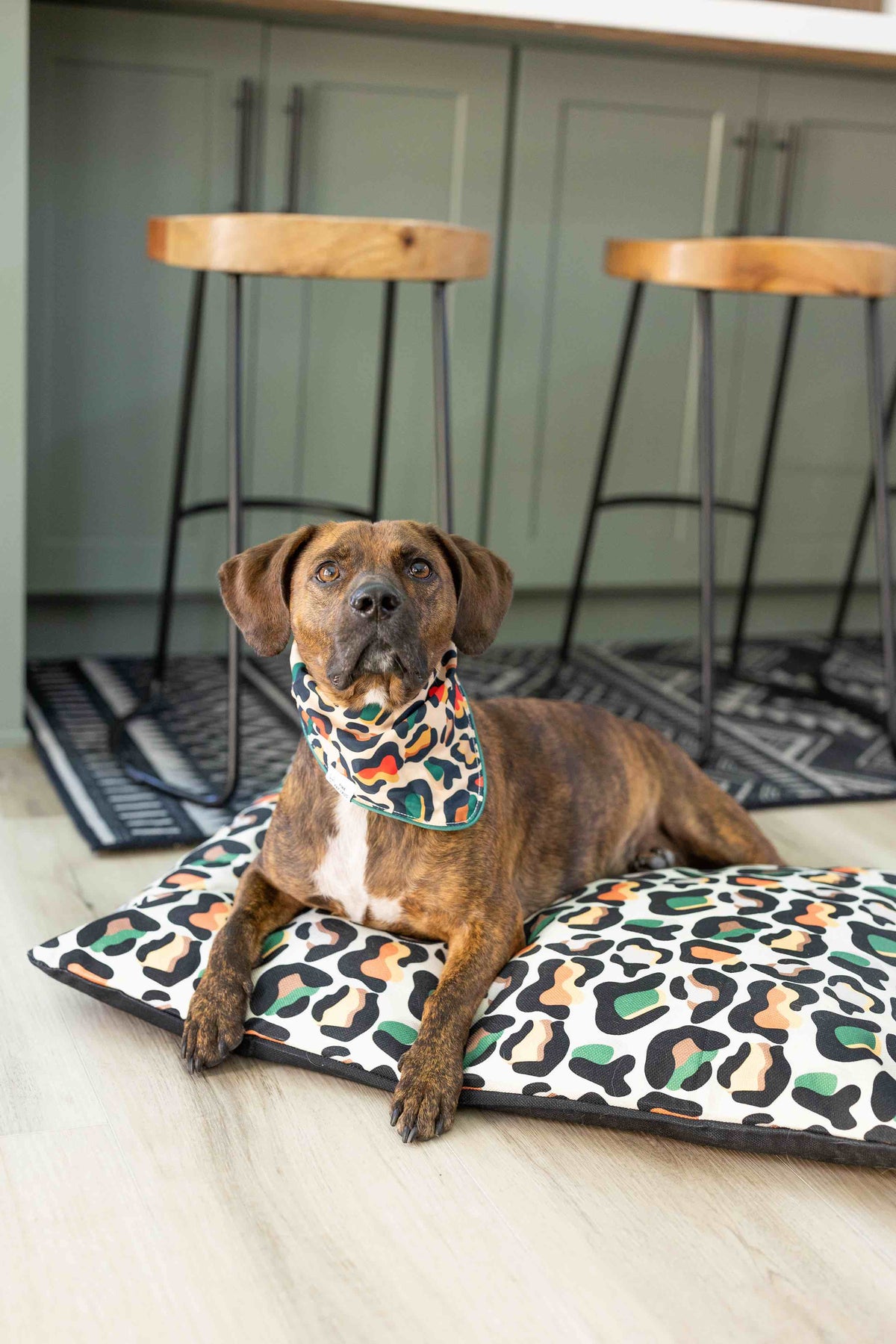 Beckett Dog Bandana