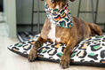 Load image into Gallery viewer, Beckett Dog Bandana
