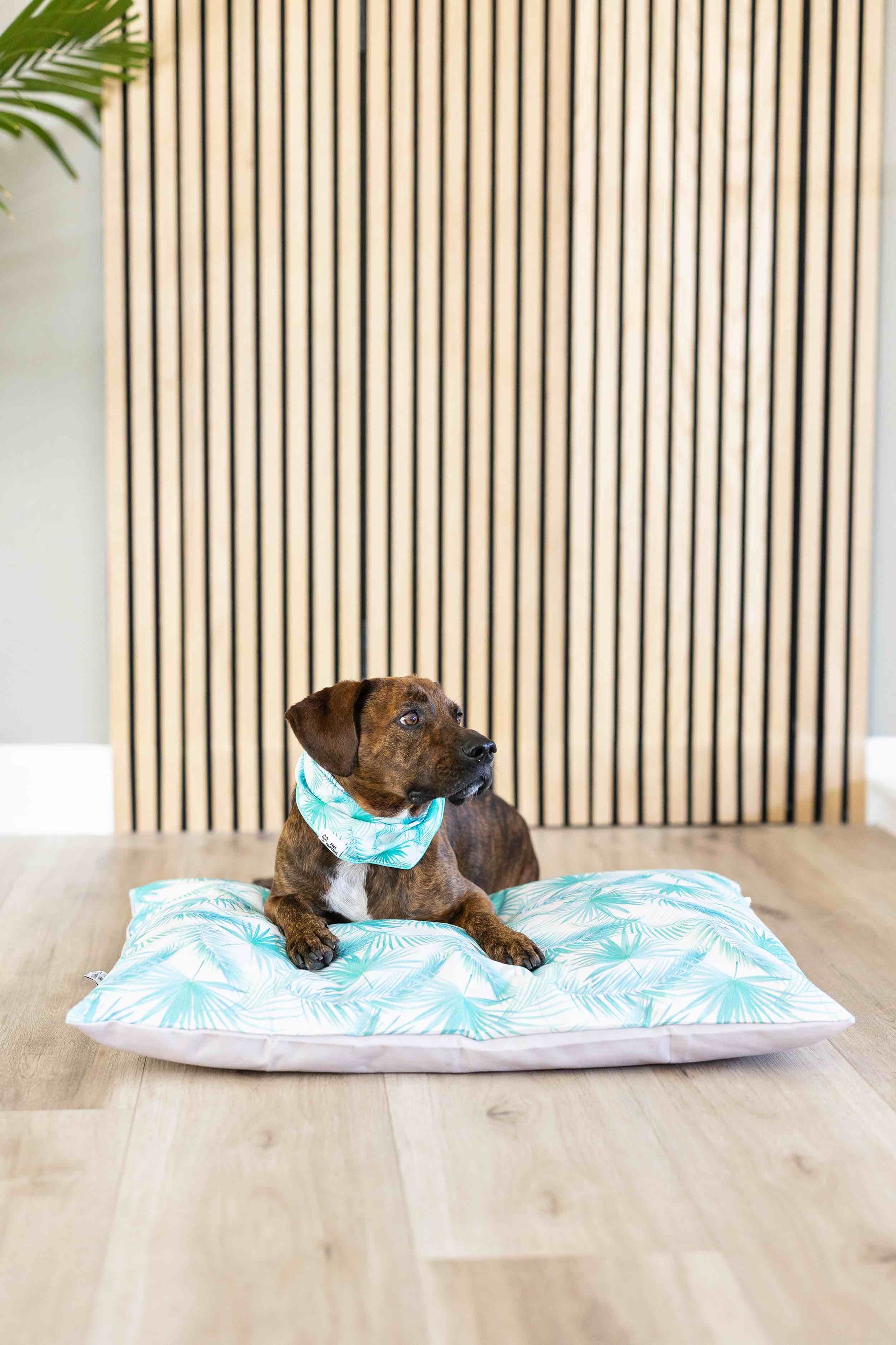 Capri Dog Bandana