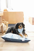 Load image into Gallery viewer, Koa Dog Bandana
