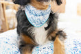 Load image into Gallery viewer, Koa Dog Bandana
