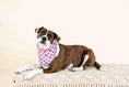 Load image into Gallery viewer, Clarke Dog Bandana
