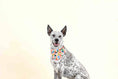 Load image into Gallery viewer, Amelia Dog Bandana
