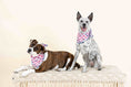 Load image into Gallery viewer, Clarke Dog Bandana
