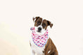 Load image into Gallery viewer, Clarke Dog Bandana
