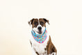 Load image into Gallery viewer, Tillie Dog Bandana
