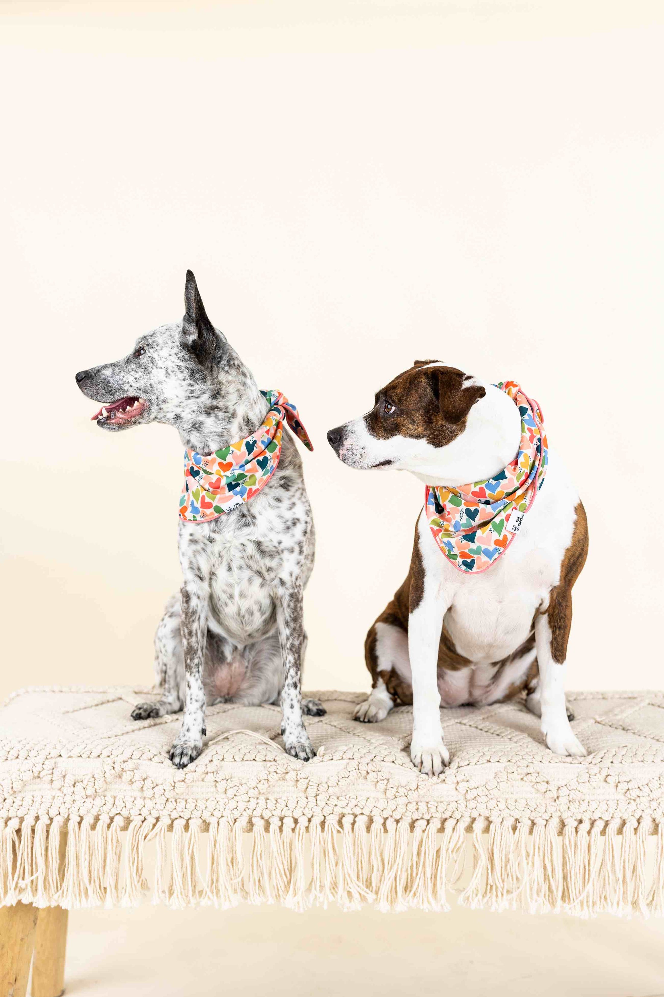 Amelia Dog Bandana