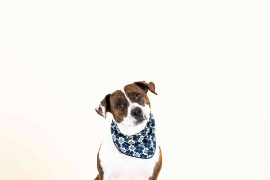 Ryder Dog Bandana