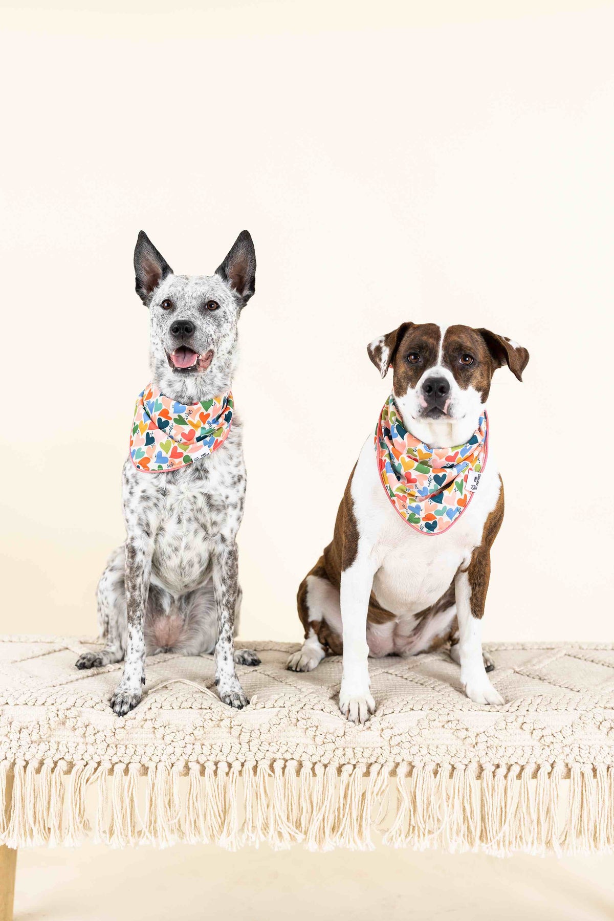 Amelia Dog Bandana