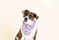 Load image into Gallery viewer, Giselle Dog Bandana
