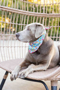 Load image into Gallery viewer, Tillie Dog Bandana
