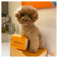 Load image into Gallery viewer, CHEWY PAWTTON PLUSH DOG TOY - Southlake Paws
