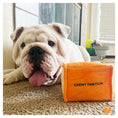 Load image into Gallery viewer, CHEWY PAWTTON PLUSH DOG TOY - Southlake Paws
