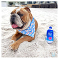 Load image into Gallery viewer, FURJI WATER PLUSH DOG TOY - Southlake Paws
