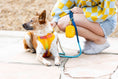 Load image into Gallery viewer, Kenna Dog Harness
