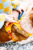 Load image into Gallery viewer, Kenna Dog Harness
