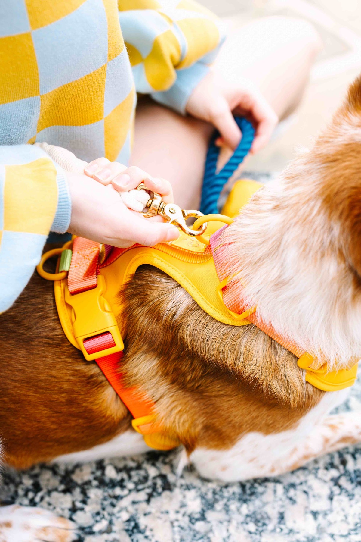 Kenna Dog Harness