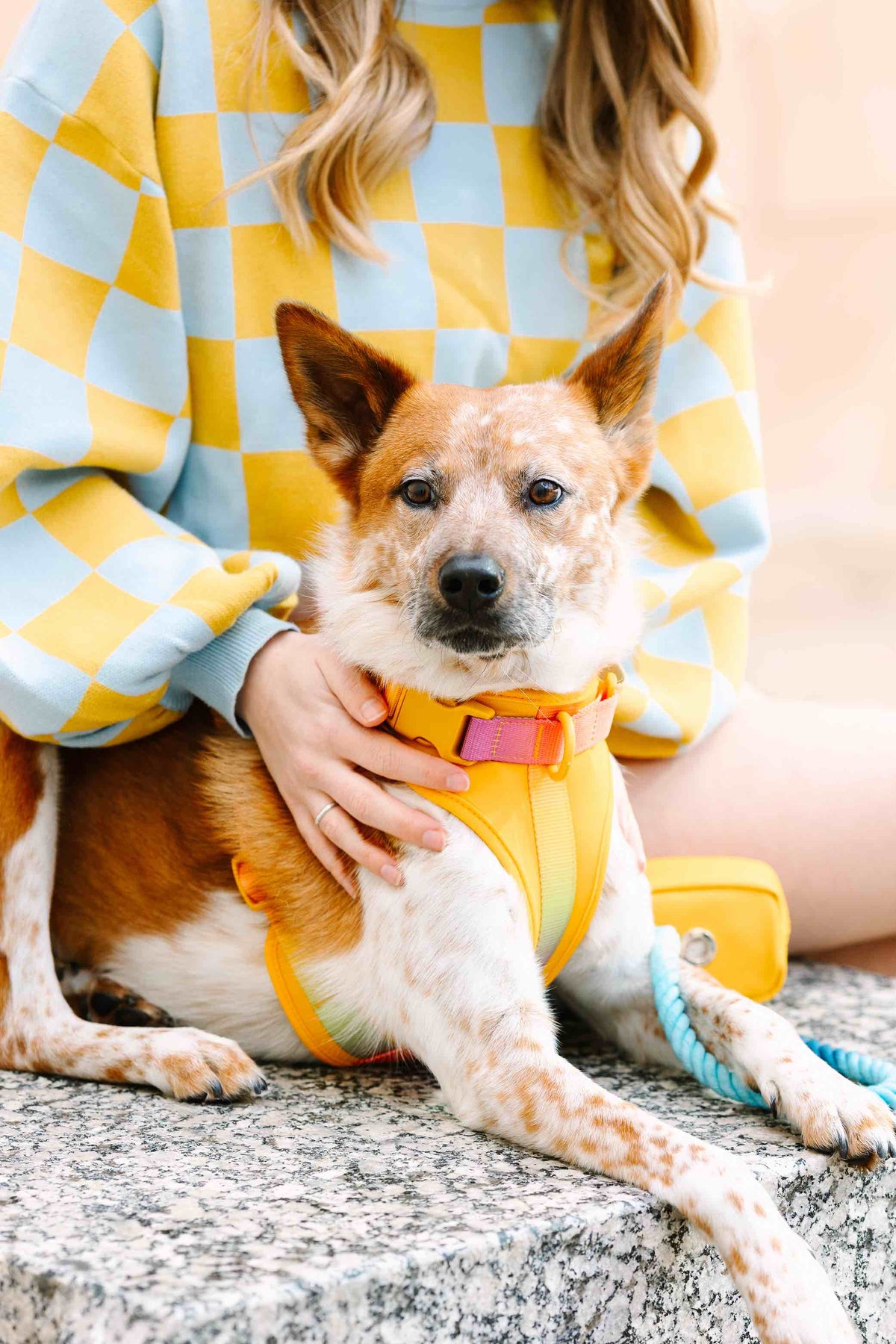 Kenna Dog Harness