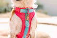 Load image into Gallery viewer, Stasia Dog Harness
