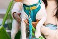 Load image into Gallery viewer, Joey Dog Harness
