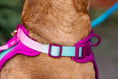 Load image into Gallery viewer, Joana Dog Harness
