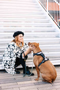 Load image into Gallery viewer, Rowan Dog Harness
