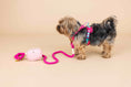 Load image into Gallery viewer, Stasia Dog Harness
