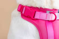 Load image into Gallery viewer, Stasia Dog Harness
