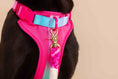Load image into Gallery viewer, Stasia Dog Harness
