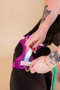 Load image into Gallery viewer, Joana Dog Harness
