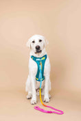 Load image into Gallery viewer, Joey Dog Harness
