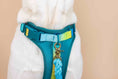 Load image into Gallery viewer, Joey Dog Harness
