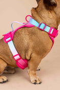 Load image into Gallery viewer, Stasia Dog Harness
