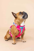Load image into Gallery viewer, Stasia Dog Harness
