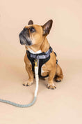 Load image into Gallery viewer, Rowan Dog Harness

