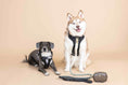 Load image into Gallery viewer, Rowan Dog Harness
