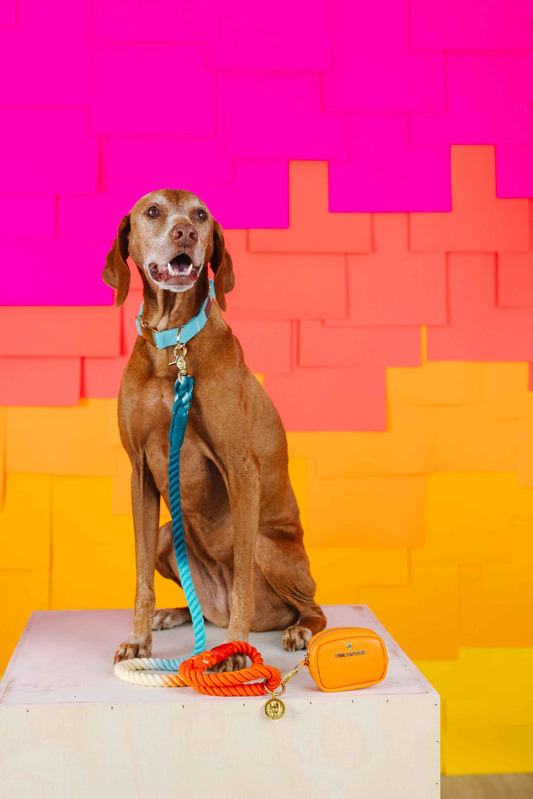 Beau Rope Dog Leash