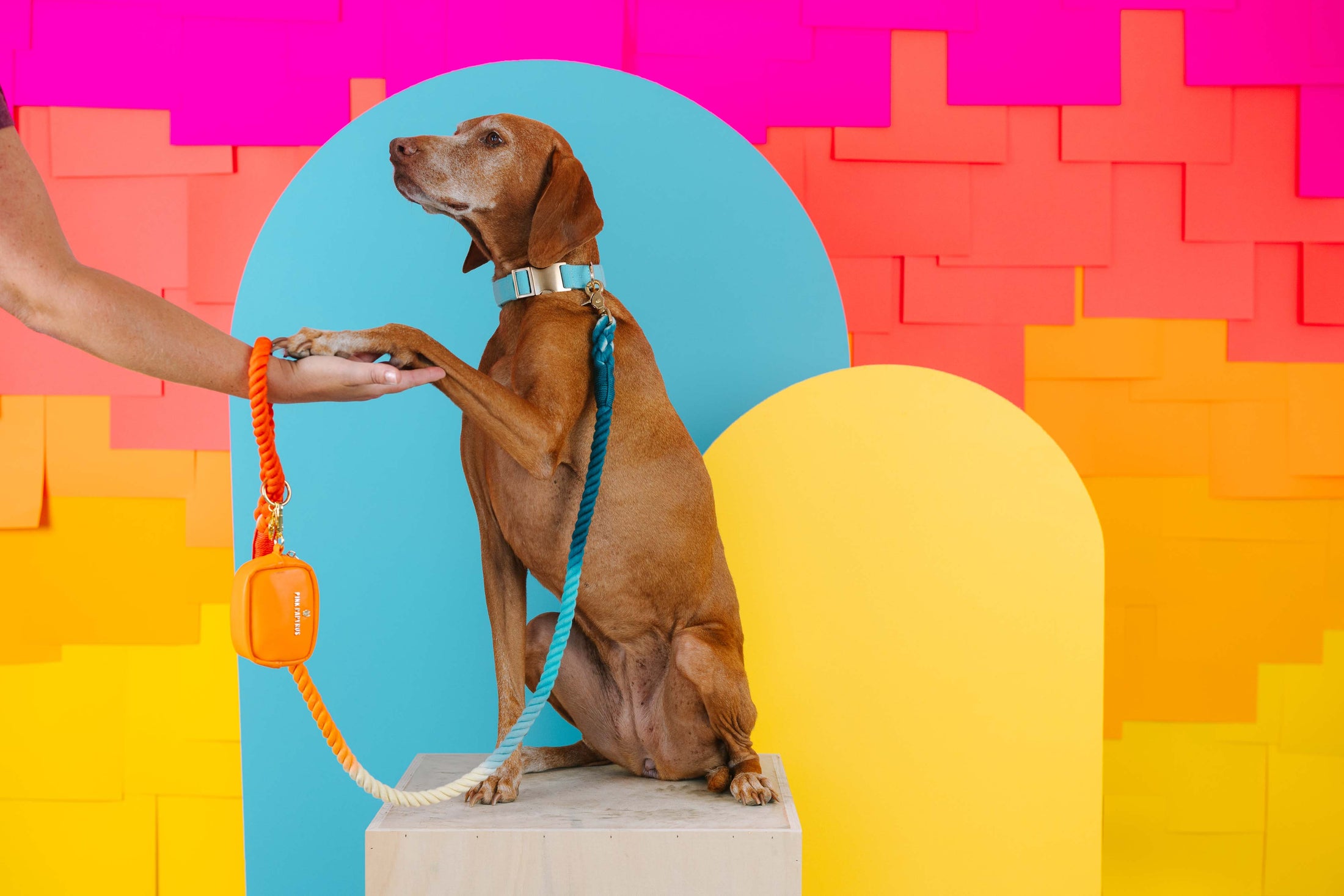 Beau Rope Dog Leash