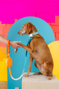 Load image into Gallery viewer, Keanu Waste Bag Holder & Treat Pouch
