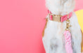 Load image into Gallery viewer, Ella Dog Collar
