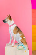 Load image into Gallery viewer, Halston Rope Dog Leash
