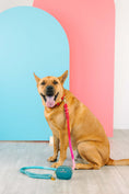 Load image into Gallery viewer, Micah Rope Dog Leash
